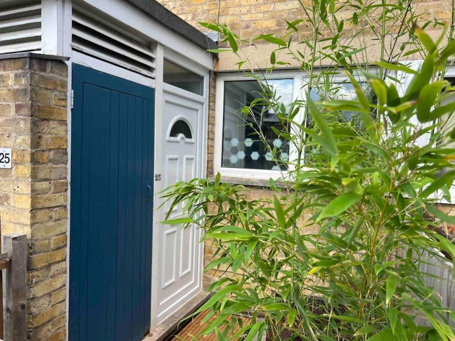 Lime Tree In Blue House * CBG